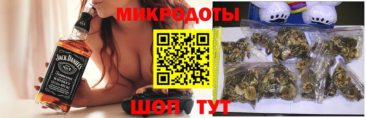 Псилоцибиновые грибы прущие грибы Бердск